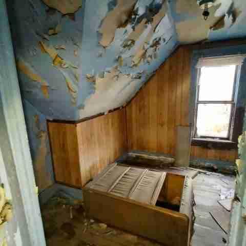 8031 conger (41).jpg